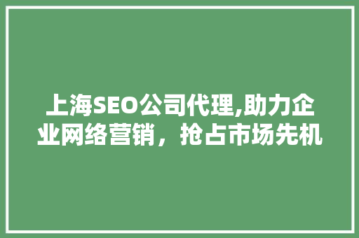 上海SEO公司代理,助力企业网络营销，抢占市场先机