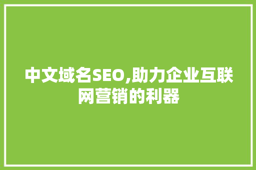 中文域名SEO,助力企业互联网营销的利器