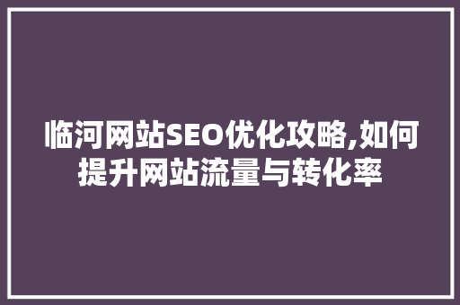 临河网站SEO优化攻略,如何提升网站流量与转化率