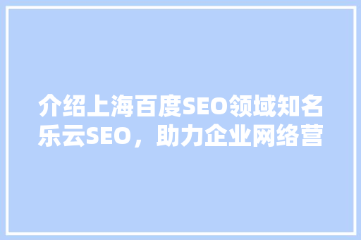 介绍上海百度SEO领域知名乐云SEO，助力企业网络营销腾飞