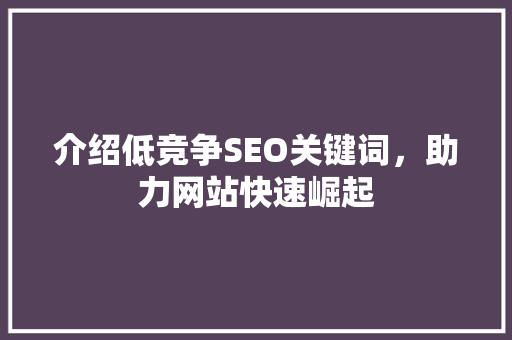 介绍低竞争SEO关键词，助力网站快速崛起