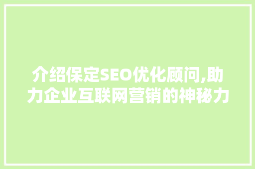 介绍保定SEO优化顾问,助力企业互联网营销的神秘力量