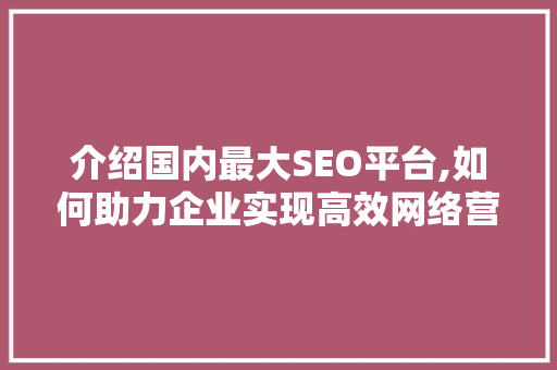 介绍国内最大SEO平台,如何助力企业实现高效网络营销