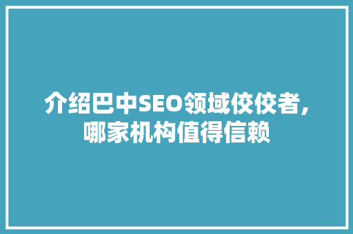 介绍巴中SEO领域佼佼者,哪家机构值得信赖