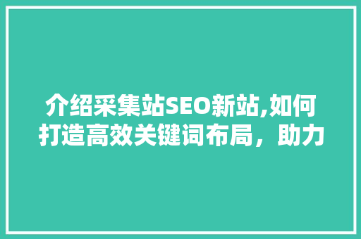 介绍采集站SEO新站,如何打造高效关键词布局，助力网站优化
