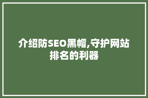 介绍防SEO黑帽,守护网站排名的利器