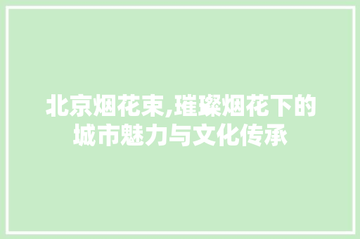 北京烟花束,璀璨烟花下的城市魅力与文化传承