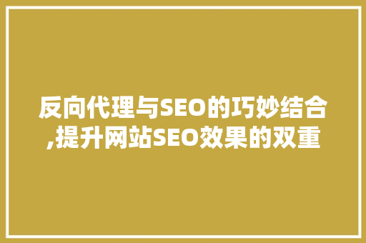 反向代理与SEO的巧妙结合,提升网站SEO效果的双重步骤