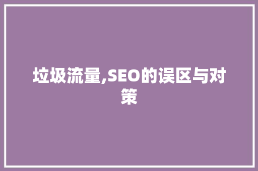垃圾流量,SEO的误区与对策
