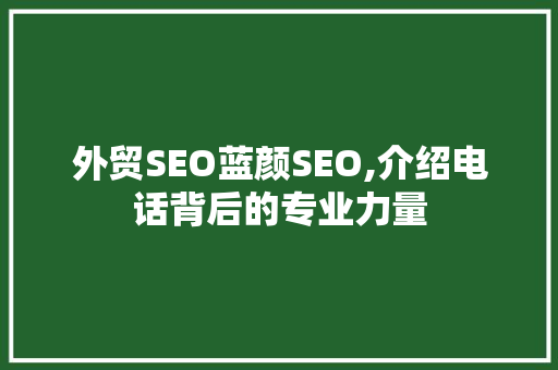 外贸SEO蓝颜SEO,介绍电话背后的专业力量