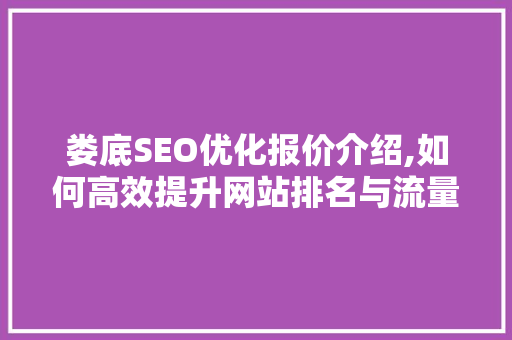 娄底SEO优化报价介绍,如何高效提升网站排名与流量