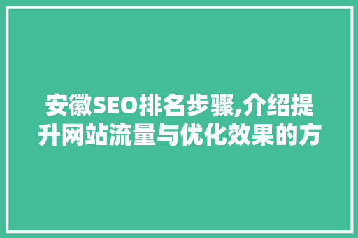 安徽SEO排名步骤,介绍提升网站流量与优化效果的方法