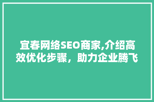 宜春网络SEO商家,介绍高效优化步骤，助力企业腾飞