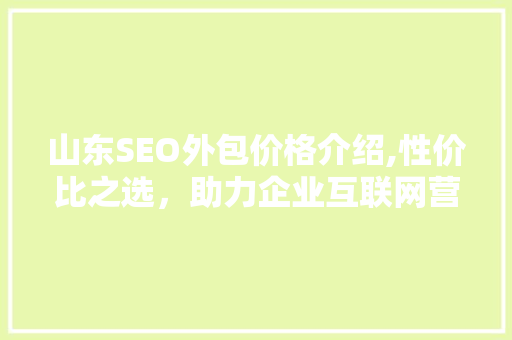 山东SEO外包价格介绍,性价比之选，助力企业互联网营销