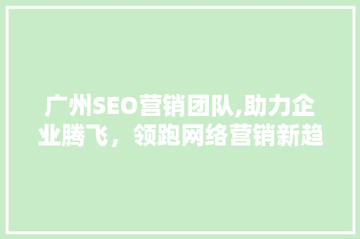 广州SEO营销团队,助力企业腾飞，领跑网络营销新趋势