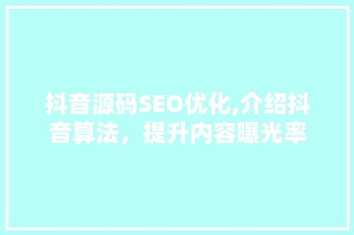 抖音源码SEO优化,介绍抖音算法，提升内容曝光率