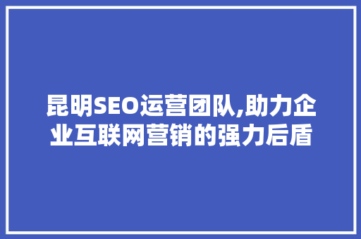 昆明SEO运营团队,助力企业互联网营销的强力后盾