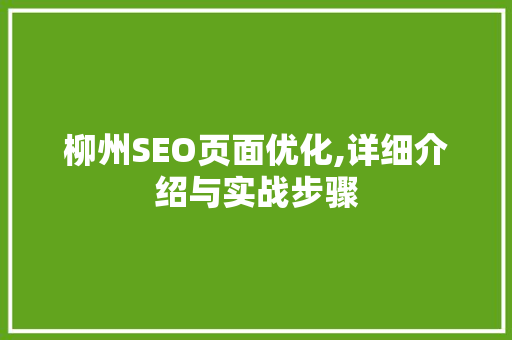 柳州SEO页面优化,详细介绍与实战步骤  第1张