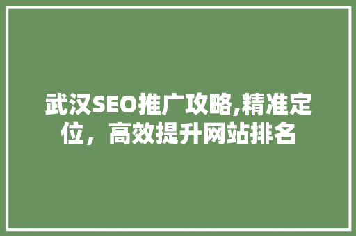 武汉SEO推广攻略,精准定位，高效提升网站排名