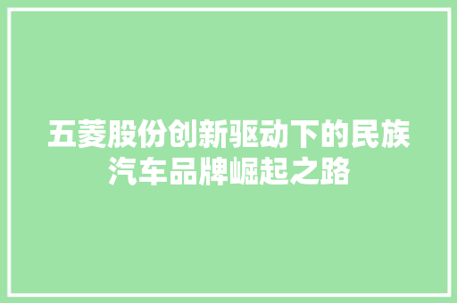 五菱股份创新驱动下的民族汽车品牌崛起之路