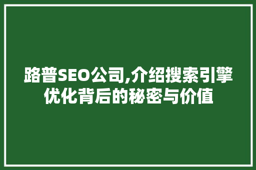 路普SEO公司,介绍搜索引擎优化背后的秘密与价值