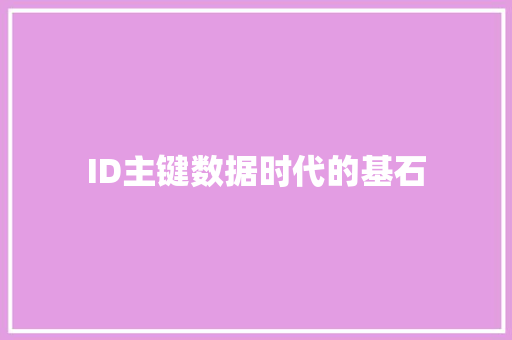 ID主键数据时代的基石