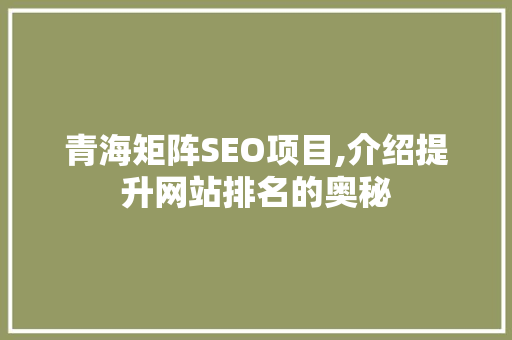 青海矩阵SEO项目,介绍提升网站排名的奥秘