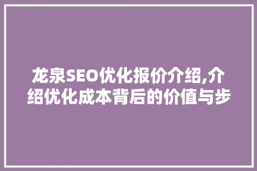 龙泉SEO优化报价介绍,介绍优化成本背后的价值与步骤