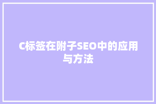 C标签在附子SEO中的应用与方法
