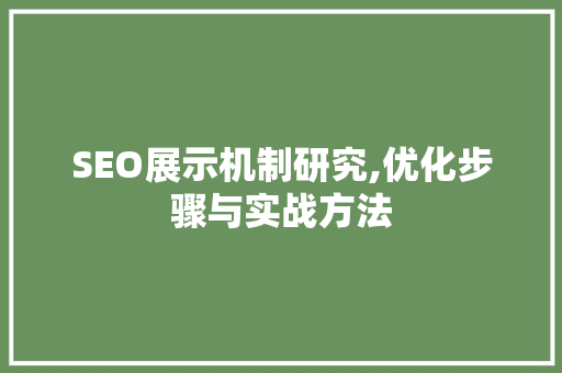 SEO展示机制研究,优化步骤与实战方法