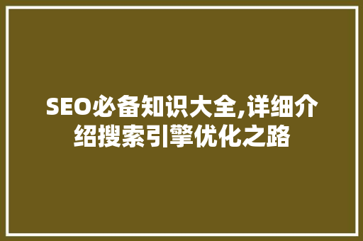 SEO必备知识大全,详细介绍搜索引擎优化之路