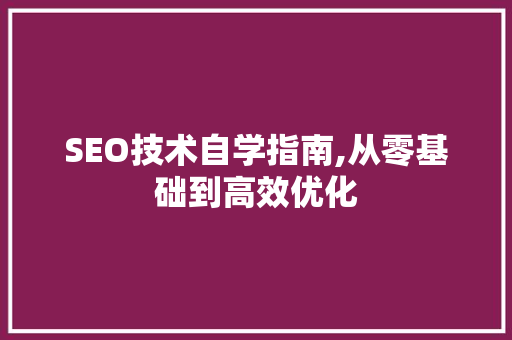 SEO技术自学指南,从零基础到高效优化