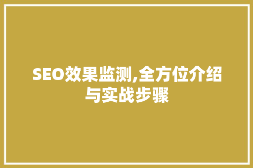 SEO效果监测,全方位介绍与实战步骤