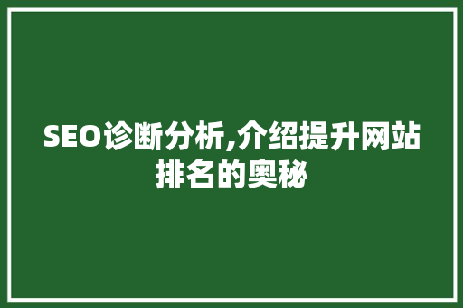 SEO诊断分析,介绍提升网站排名的奥秘