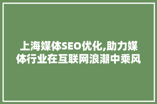 上海媒体SEO优化,助力媒体行业在互联网浪潮中乘风破浪  第1张