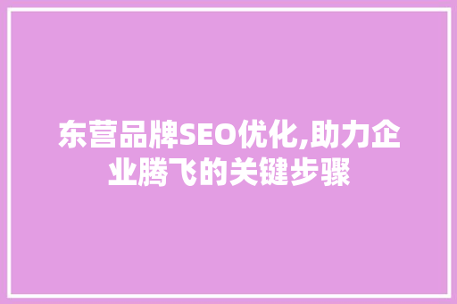东营品牌SEO优化,助力企业腾飞的关键步骤