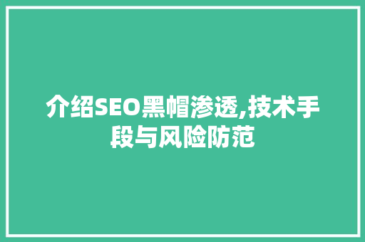 介绍SEO黑帽渗透,技术手段与风险防范