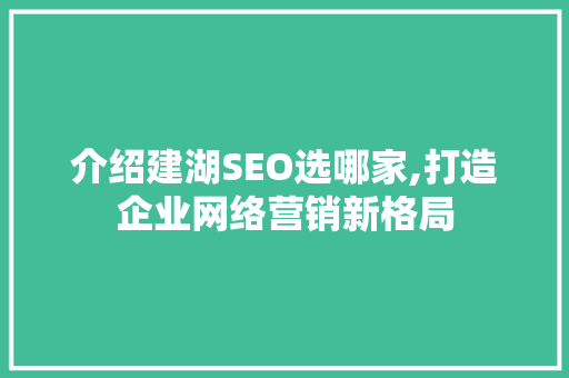 介绍建湖SEO选哪家,打造企业网络营销新格局