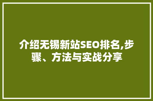 介绍无锡新站SEO排名,步骤、方法与实战分享