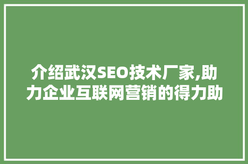 介绍武汉SEO技术厂家,助力企业互联网营销的得力助手