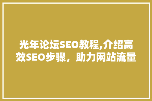 光年论坛SEO教程,介绍高效SEO步骤，助力网站流量飙升