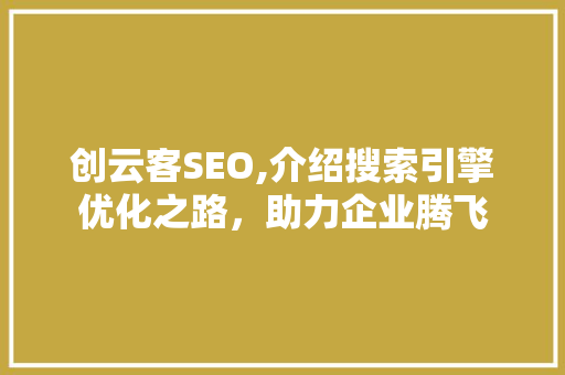 创云客SEO,介绍搜索引擎优化之路，助力企业腾飞
