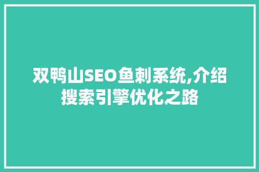 双鸭山SEO鱼刺系统,介绍搜索引擎优化之路