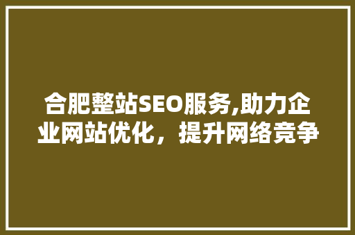 合肥整站SEO服务,助力企业网站优化，提升网络竞争力