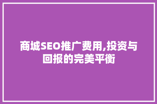 商城SEO推广费用,投资与回报的完美平衡