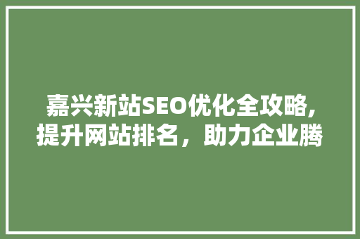 嘉兴新站SEO优化全攻略,提升网站排名，助力企业腾飞