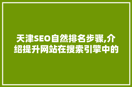 天津SEO自然排名步骤,介绍提升网站在搜索引擎中的排名之路