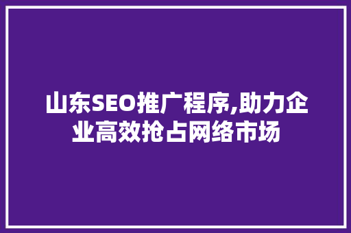 山东SEO推广程序,助力企业高效抢占网络市场