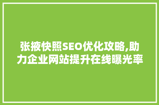 张掖快照SEO优化攻略,助力企业网站提升在线曝光率