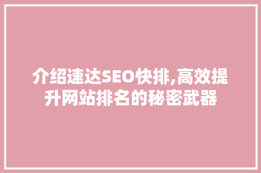 介绍速达SEO快排,高效提升网站排名的秘密武器